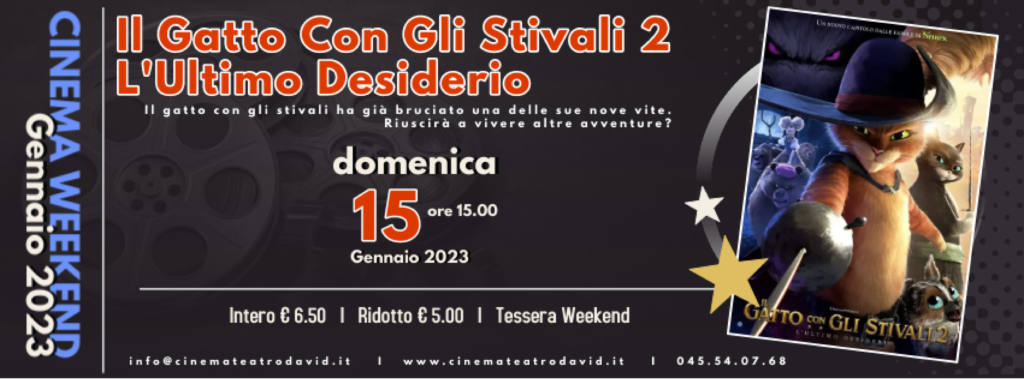 Cinema Teatro David Ctd Cinemaweekend Il Gatto Con Gli